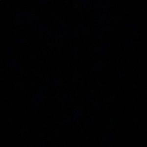 Meet your Posher, Corey